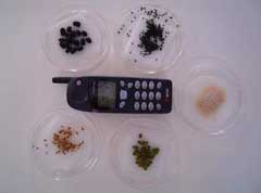 MRET Cell Phone Radiation Shield Plant Test 1