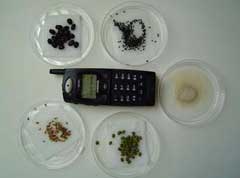 MRET Cell Phone Radiation Shield Plant Test 2