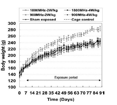 mobile phone radiation