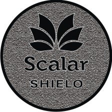 24K SCALAR SHIELD SCALAR SHIELD - Image 2